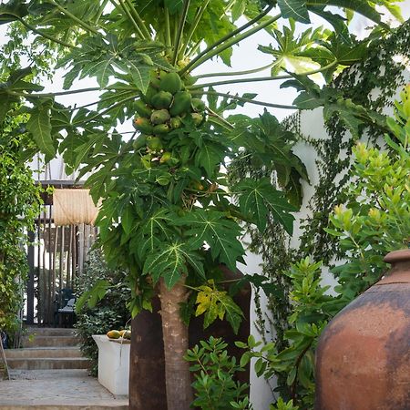 Altanure Almatere - Food Forest Boutique Stay تافيرا المظهر الخارجي الصورة